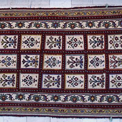 کلیم شریکی بیج منطقة سیرجان (محافظة کرمان)